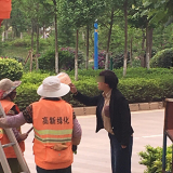 女子用垃圾桶懟綠化工是怎么回事？